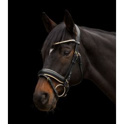 Waldhausen Bridle X-Line Ivory, black, Full
