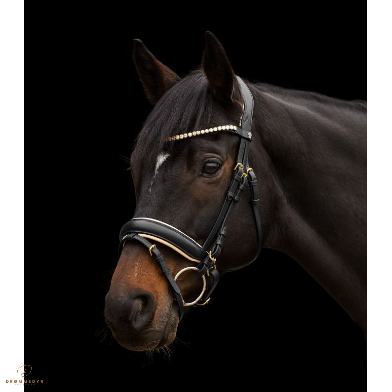Waldhausen Bridle X-Line Ivory, black, Full