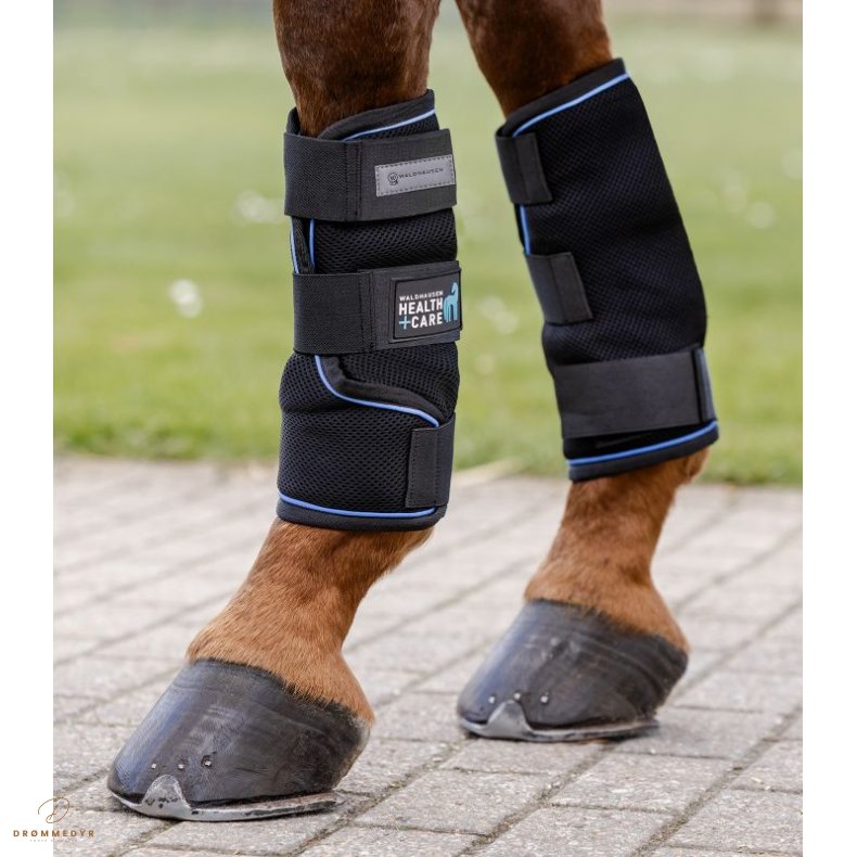 Waldhausen Health + Care Ice Layer Boot - Large