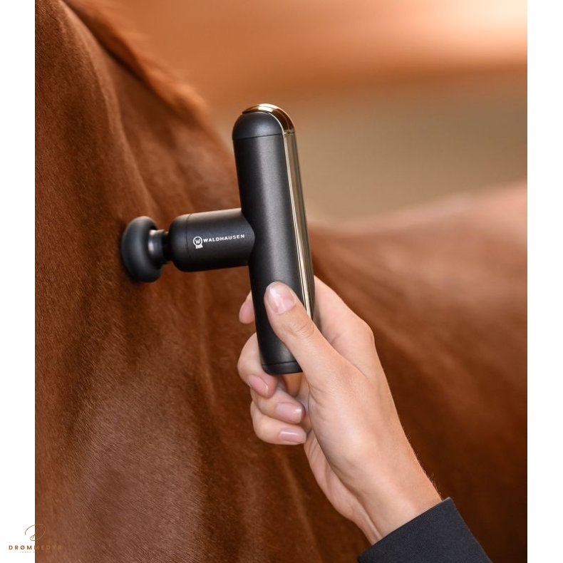 Waldhausen Health + Care Pocket Relax massageapparat