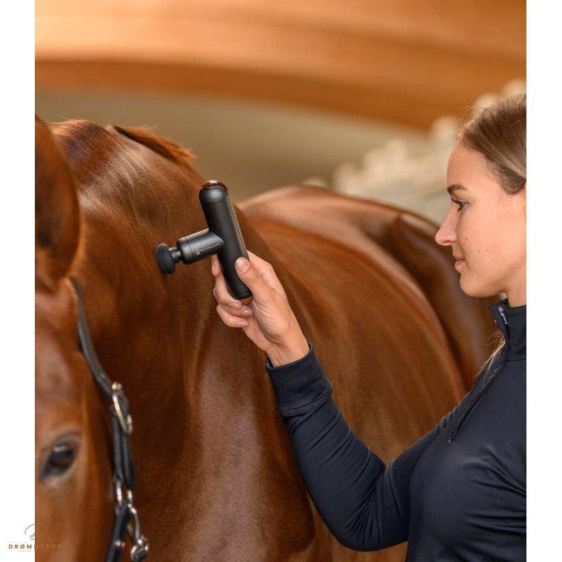 Waldhausen Health + Care Pocket Relax massageapparat