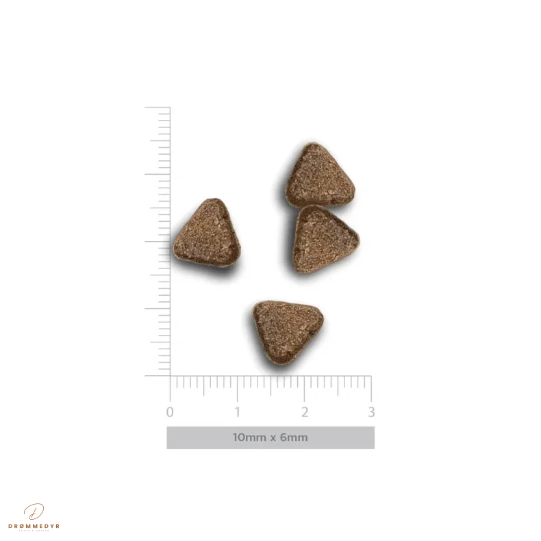 Harper &amp; Bone Wild Mountain - Kornfrit voksen hundefoder til sm� hunde - 2 kg 
