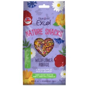 Burgees Excel Wildflower Forage