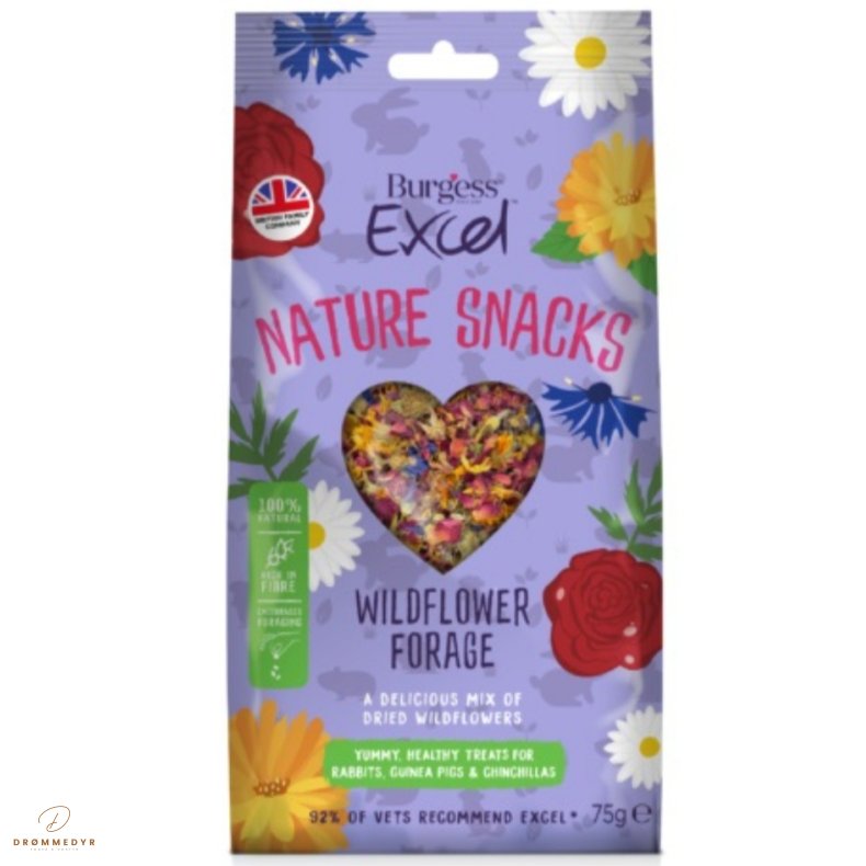 Burgees Excel Wildflower Forage