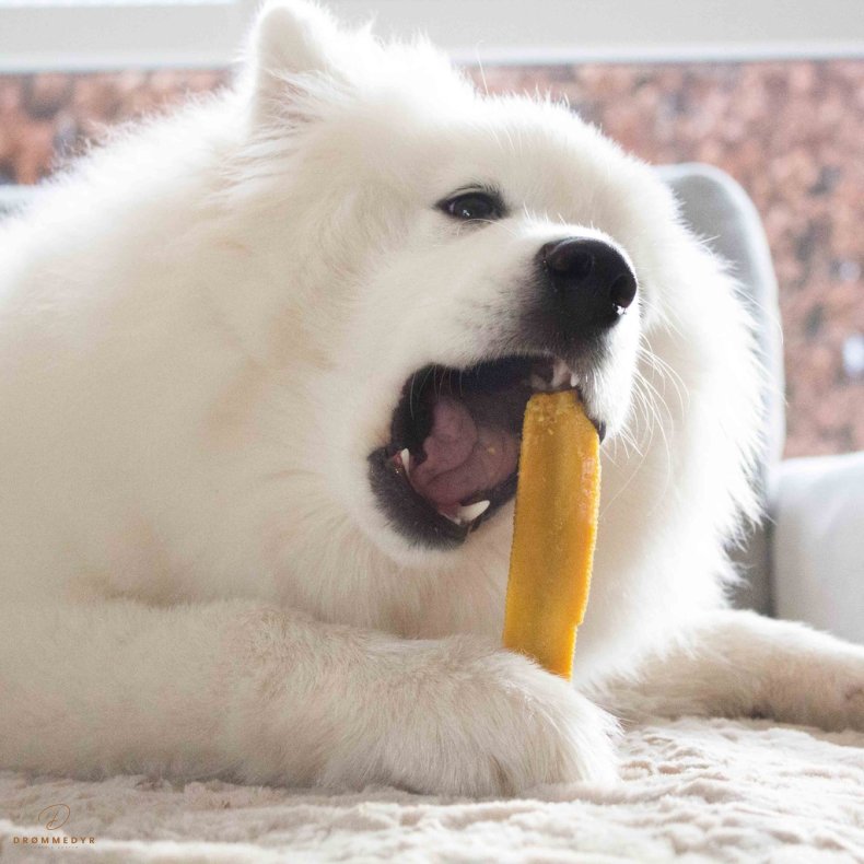 Yaki Gurkemeje 100-119g L