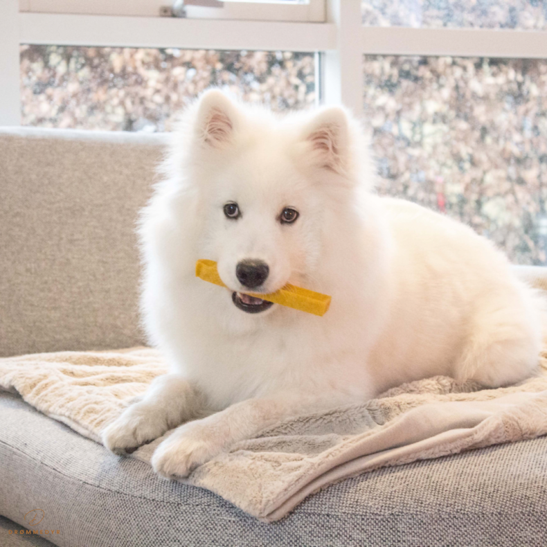 Yaki Gurkemeje 60-79g M