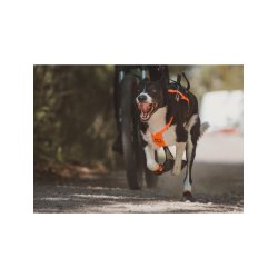 Non-Stop Sele Freemotion 5.0 sort/orange, 8