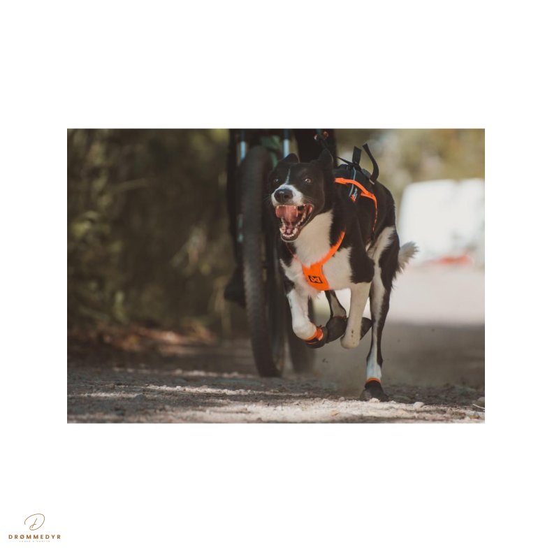 Non-Stop Sele Freemotion 5.0 sort/orange, 9