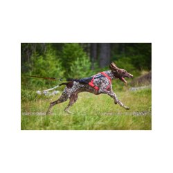 Non-Stop Sele Freemotion 5.0 sort/orange, 8