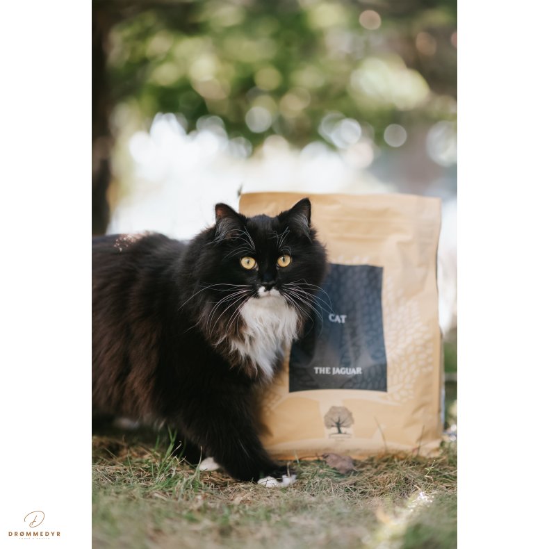 ESSENTIAL the JAGUAR 3kg