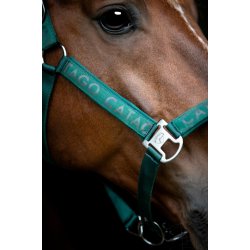 CATAGO Alea reflekterende logo grime Ponderosa Pine