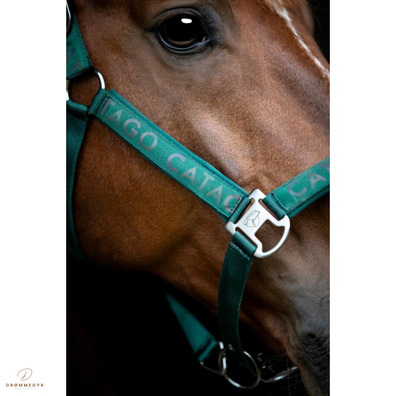 CATAGO Alea reflekterende logo grime Ponderosa Pine