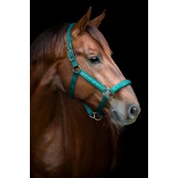 CATAGO Alea reflekterende logo grime Ponderosa Pine