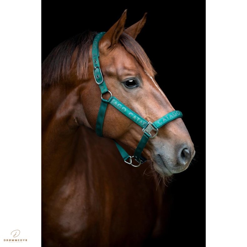 CATAGO Alea reflekterende logo grime Ponderosa Pine