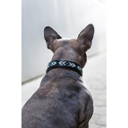 CATAGO Viben lder halsbnd Sort