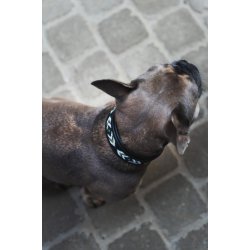 CATAGO Viben lder halsbnd Sort