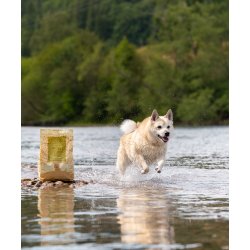 ESSENTIAL CONTOUR 2,5KG