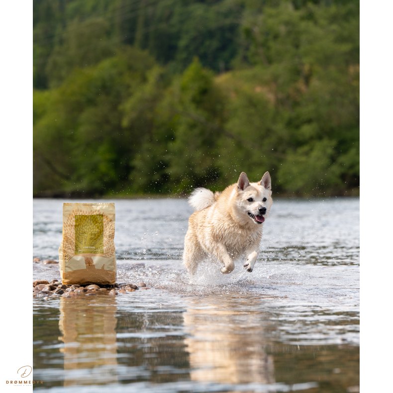 ESSENTIAL CONTOUR 2,5KG