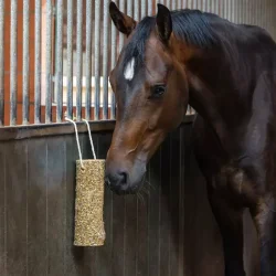 Delizia Nibbler Stick Bronchial