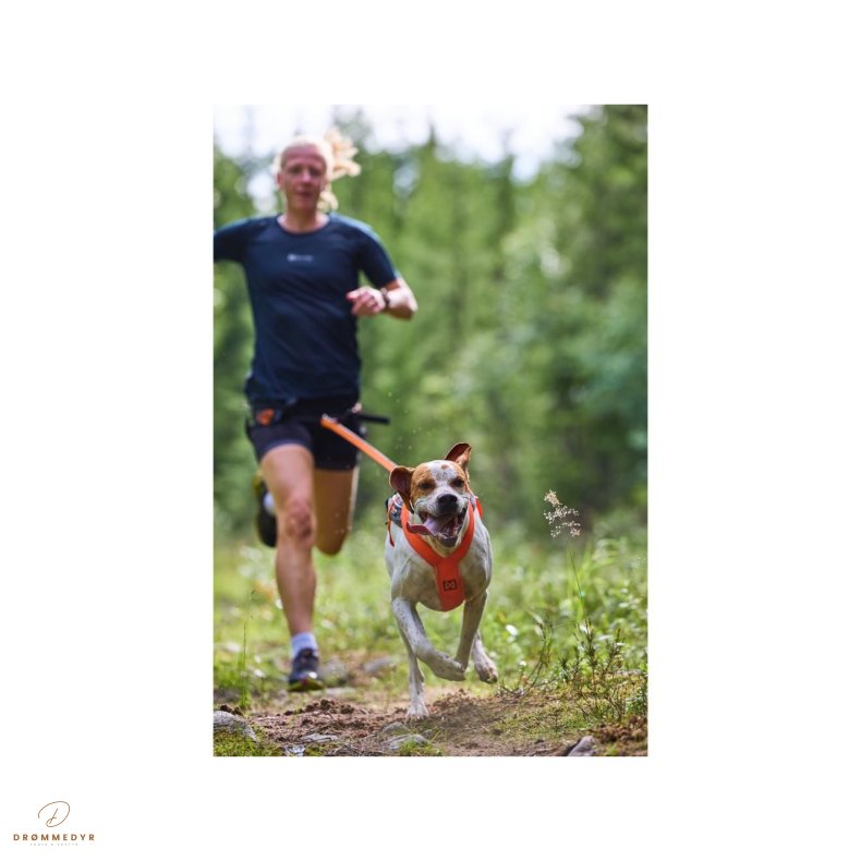 Non-Stop Sele Freemotion 5.0 sort/orange, 8