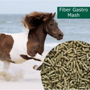 HP Fiber Gastro Mash 20 Kg