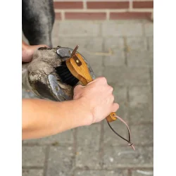 LeMieux Hovrenser Tr