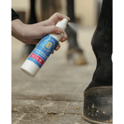 Eclipse Biofarmab BioChlorHex Spray 200 ml