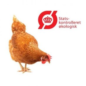 Logi Goggi kologisk 25 Kg