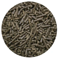 Nordic Minty Omega 15 Kg