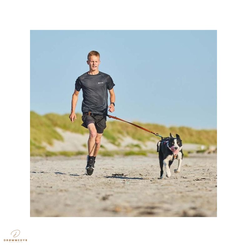 Non-Stop Line bungee sort/orange, 2,8m