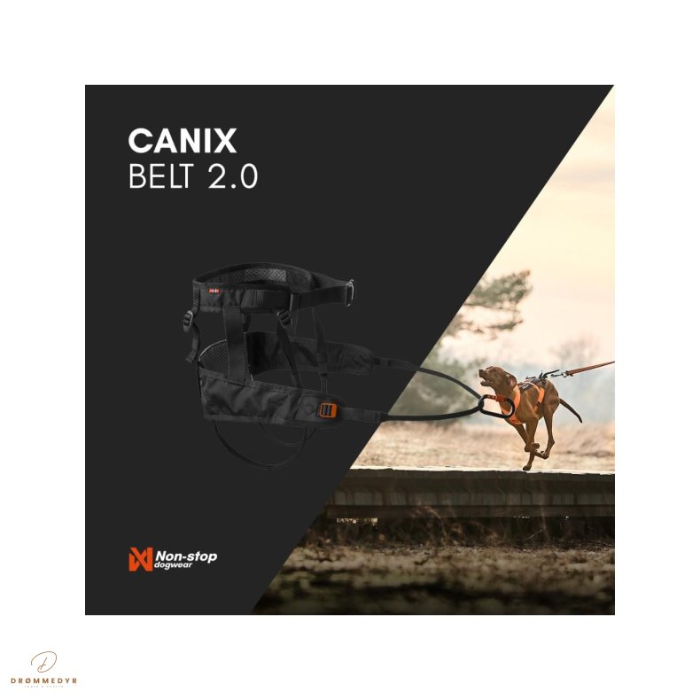 Non-Stop L�beb�lte Canix 2.0, L