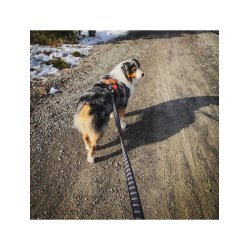 Non-Stop Line touring bungee sort/gr�, 2m