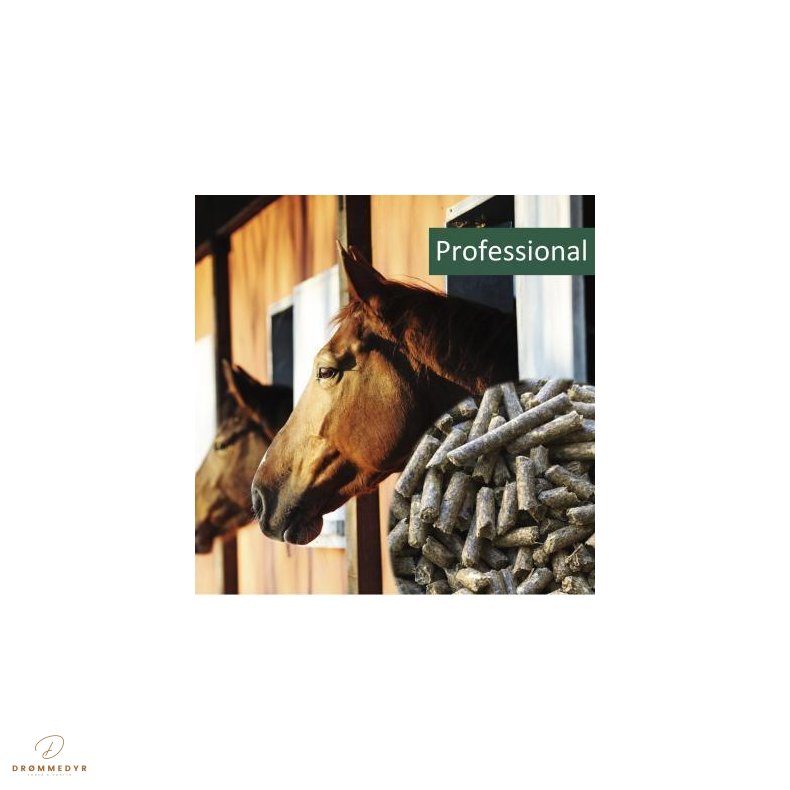 HP Professional 20 kg